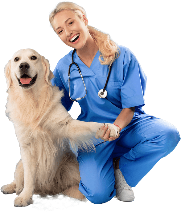 Segreteria studi medici